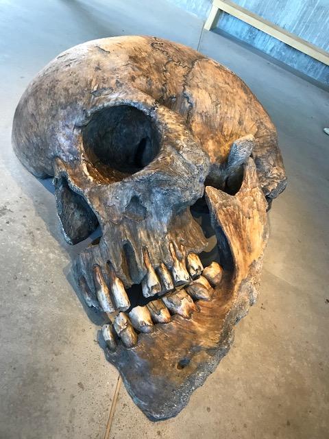 Skull of Hammershus